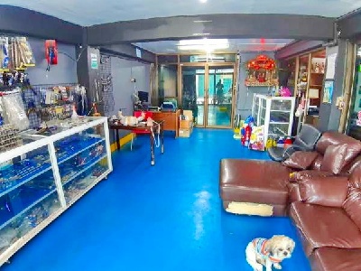 ซีคอน บางแค MRT ภาษีเจริญ 400ม ให้เช่าอาคารพาณิชย์ 2 คูหา 4 ชั้น 36ตร.วา. 576ตร.ม. 4นอน 4น้ำ ม.สยาม 1.6กม. ย่านเพชรเกษม