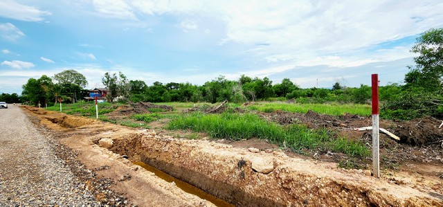 ที่ดินถมแล้ว 200 ตรว คลอง14 หนองเสือ อยู่ใกล้ถนนลาดยางเรียบคลอง 14 เหมาะปลูกบ้าน ทำสวน ทำการเกษตร อยู่ใกล้แหล่งชุมชน