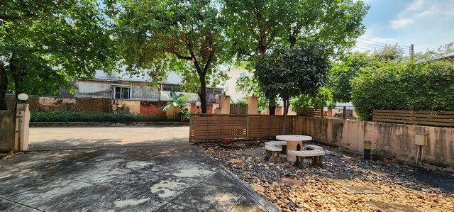 ขายบ้านเดี่ยวลำลูกกา คลอง 4 ขนาด 66.8 ตรว มี 3 ห้องนอน 3 ห้องน้ำ ใกล้ตลาดลาดสวาย