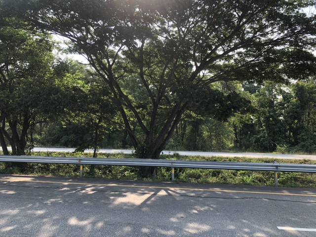 ซื้อไว้ดีมีไว้รวย อสิงห์หา เมืองบ้านตากจังหวัดตาก  3-1-40 ไร่ ติดถนนเอเซีย AH1 ติดถนนพหลโยธิน ไร่ 3ลบ. โทร 096-8821857