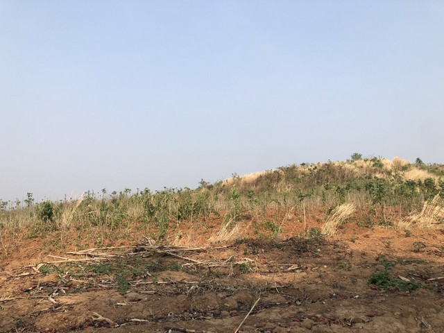 ซื้อไว้ดีมีไว้รวย อสิงห์หา ธรรมชาติเนินเขา ที่ดินโฉนดแบ่งขาย หล่มเก่า เพชรบูรณ์ ใกล้ภูทับเบิก โทร 0968821857