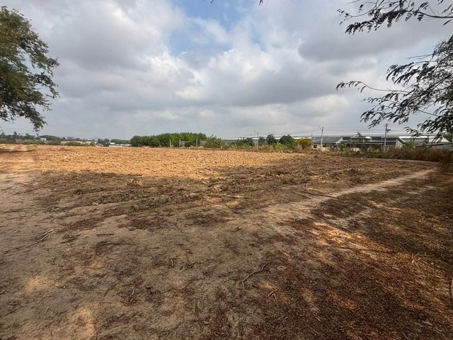 ขายที่ดินนิคมพัฒนาระยอง พื้นที่ 31 ไร่ ผัง สีม่วงลายห่าง WHA RY36 (BYD)ประมาณ 5.8 กม.