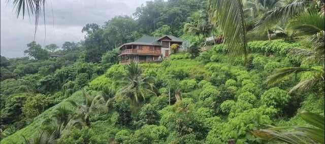 ขายหรือให้เช่า บ้านพักตากอากาศ 2 ชั้น หางดง เชียงใหม่ 18 ไร่ วิวดอยสุเทพ พร้อมสวนผลไม้ผสมผสาน