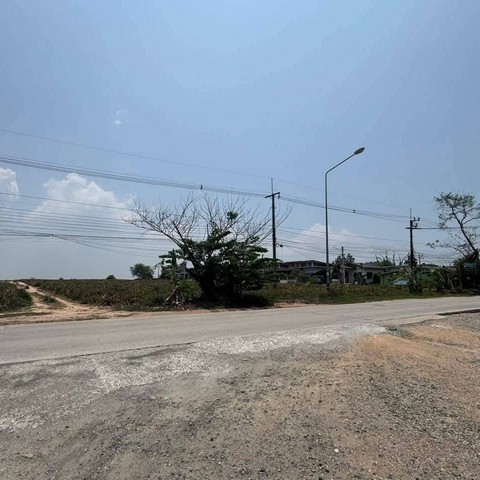 ขายที่ดินเปล่าทำเลดีผัง EEC สีม่วงลาย  พิกัด พนานิคม นิคมพัฒนา ระยอง เนื้อที่ 47-3-00 ไร่ (โฉนด 2ใบ)