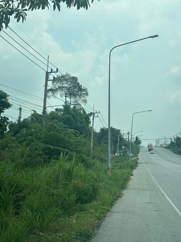 ขายที่ดินเปล่าทำเลดีผัง EEC สีม่วงลาย  พิกัด พนานิคม นิคมพัฒนา ระยอง เนื้อที่ 24-0-0  ไร่ (โฉนด 1ใบ)