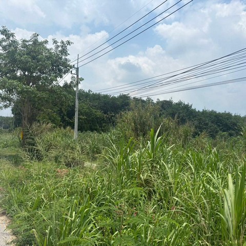 ขายที่ดินเปล่าทำเลดีผัง EEC สีม่วงลาย  พิกัด พนานิคม นิคมพัฒนา ระยอง เนื้อที่ 24-0-0  ไร่ (โฉนด 1ใบ)