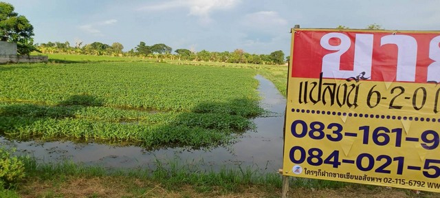 ขายที่ดินราคาถูก ทำเลดี   6-2-0 ไร่   บ้านแหลมโพธิ์   บ้านกร่าง   เมืองพิษณุโลก  ZK487
