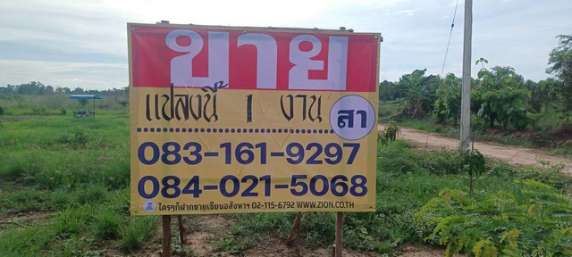 ขายที่ดิน 1 งาน พร้อมโครงสร้างบ้าน ราคาถูก  ซ.ดอนสำโรง  หัวรอ เมืองพิษณุโลก    ZK486