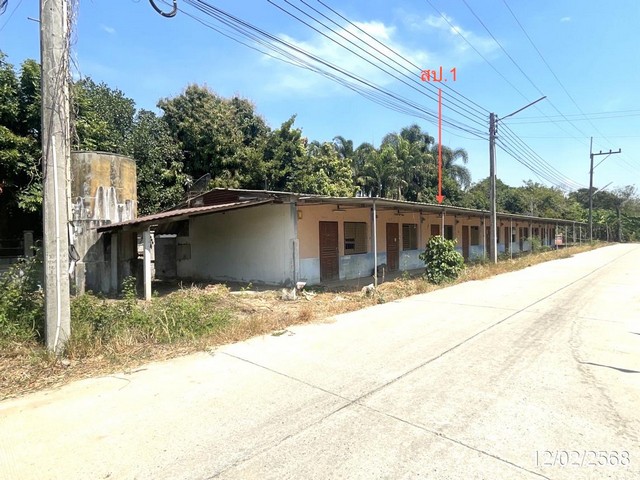 ขายบ้านเดี่ยวห้องเช่า ซ.บ้านหนองแห้ง 18 ถ.บ้านเนินหลังเต่า-หนองเสม็ด ต.หมอนนาง อ.พนัสนิคม จ.ชลบุรี