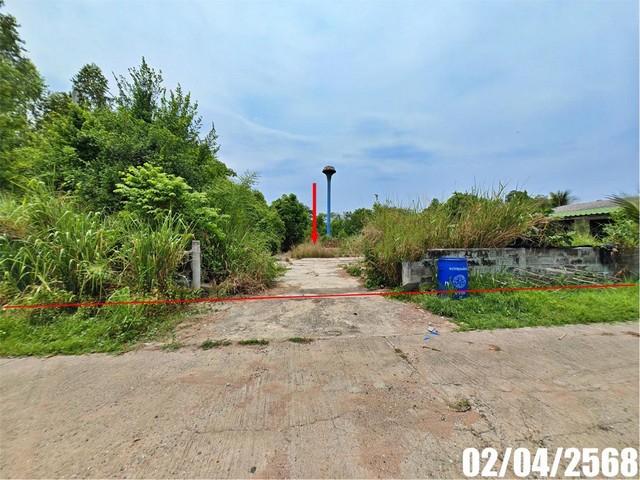 ขายบ้านเดี่ยว ถ.หนองเสม็ด-อมพนม ต.ธาตุทอง  อ.บ่อทอง จ.ชลบุรี