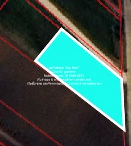 ขายที่ดินไร่สวนทางการเกษตร (ติดถนน และติดเขา) 1-0-0 ไร่ (400 ตร.ว.) ราคา 550,000 บาท (โอนฟรี)