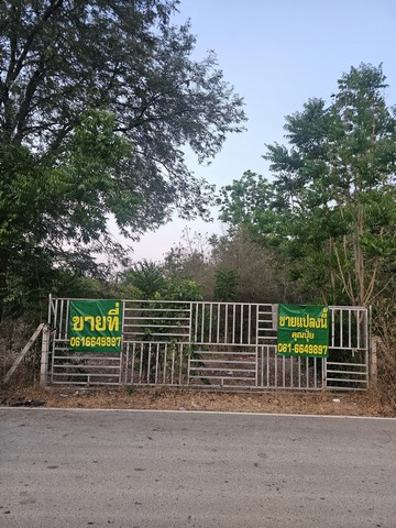 ขายที่เปล่าราชบุรีติดถนนทางหลวงชนบท เนื้อที่ 10 ไร่