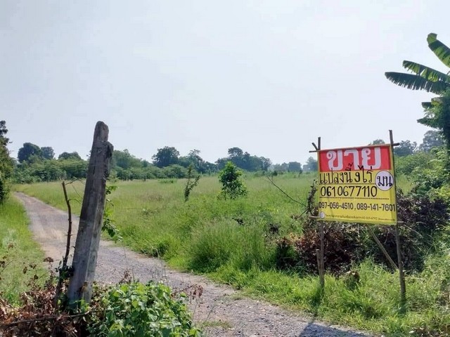 ขายที่ดินสวย 9-1-80 ไร่ หนองปลิง  เมืองนครสวรรค์  เข้า-ออกสะดวก  ได้ 2 ทาง