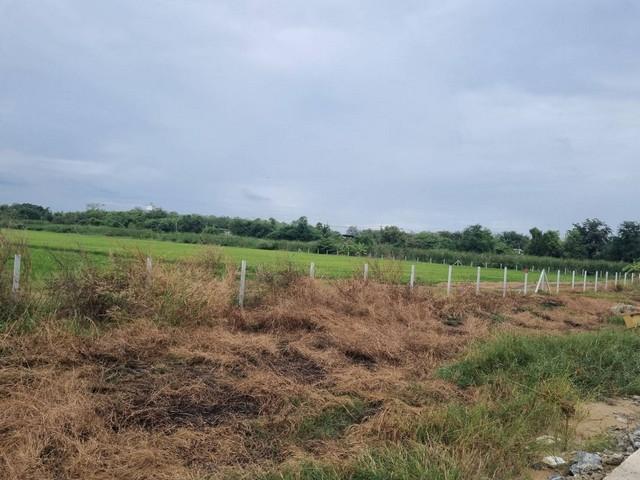 ขายที่ดินถมแล้ว เนื้อที่ 40 ไร่ เขต EEC สีม่วงจุดสีขาว ติดถนนสาธารณะ อ.เมืองฉะเชิงเทรา รถใหญ่เข้าสะดวก