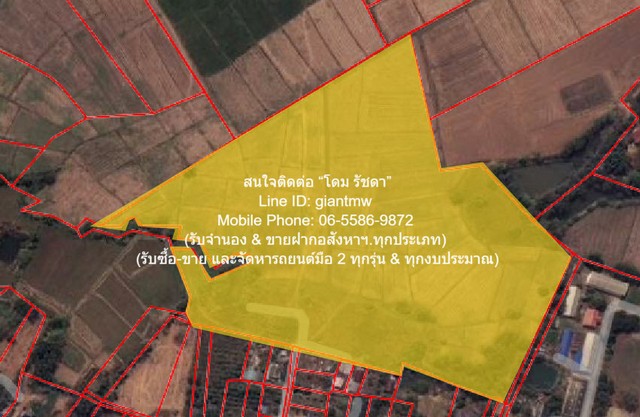 พื้นที่ดิน ขายที่ดินทุ่งนาข้าว ต.ระวิง อ.เมืองเพชรบูรณ์ จ.เพชรบูรณ์ 51-2-87 ไร่  พื้นที่ 51 Rai 2 ngan 87 ตาราง-วา 7800000 บาท ไม่ไกลจาก องค์การบริหารส่วนตำบลระวิง คุ่มค่า