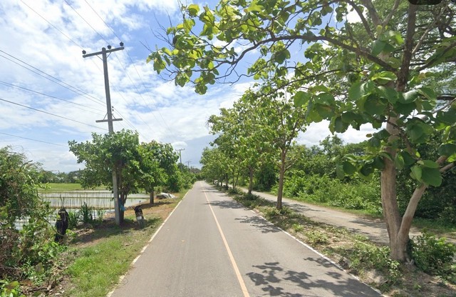 ขายที่ดินเปล่า ขนาด 3 ไร่ 77 ตารางวา ต.หารแก้ว อ.หางดง จังหวัดเชียงใหม่