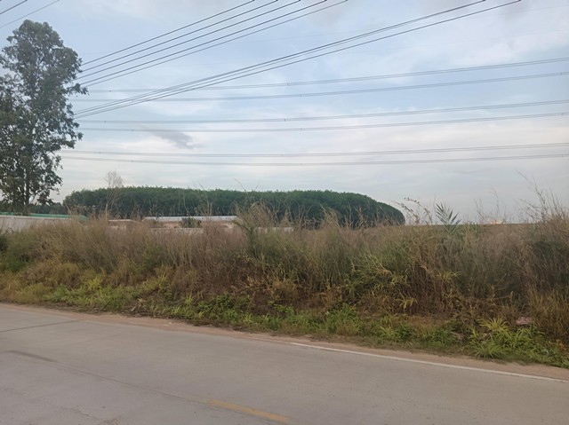 ขายที่ดินสีม่วงลายจุดขาว????เนื้อที่ 4-2-28 ไร่.ศรีราชา จ.ชลบุรีหน้าเสมอ สวย ไม่ต้องถมห่างจากท่าเรือแหลมฉบัง 34 กม.