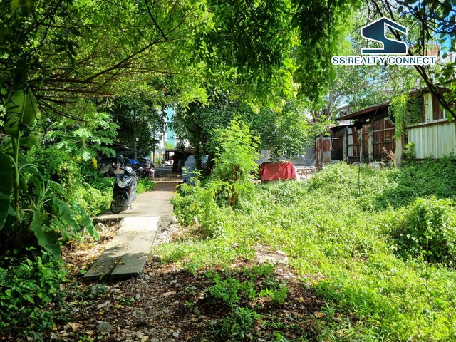 ขายที่ดินถนนสุขุมวิท ย่านปรีดีพนมยงค์ 748 ตร.ว. คลองตันเหนือ วัฒนา