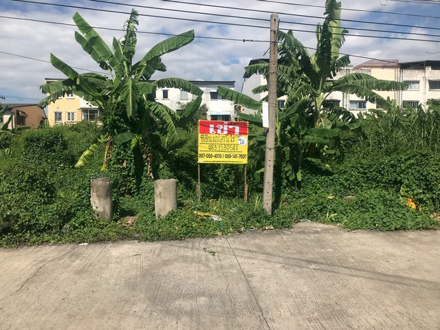 ให้เช่าที่ดิน 1-2-0 ไร่  ถมแล้ว ทำเลดี ซอยลำลูกกา 51  ลาดสวาย   ลำลูกกา  ปทุมธานี