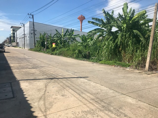 ให้เช่าที่ดิน 1-2-0 ไร่  ถมแล้ว ทำเลดี ซอยลำลูกกา 51  ลาดสวาย   ลำลูกกา  ปทุมธานี