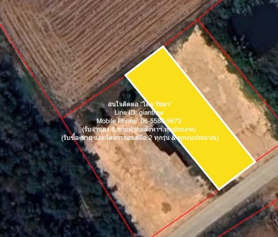 ขายที่ดินเปล่าติดถนน (ถมแล้วระดับเสมอถนน) 200 ตร.ว. (ใกล้ตลาดโบราณนครเนื่องเขต) ต.คลองนครเนื่องเขต อ.เมืองฉะเชิงเทรา ฉะเชิงเทรา