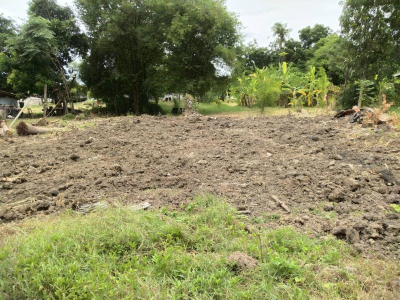 ขายที่ดินทำเลทอง ตำบลหนองดินแดง อำเภอเมืองจังหวัดนครปฐม