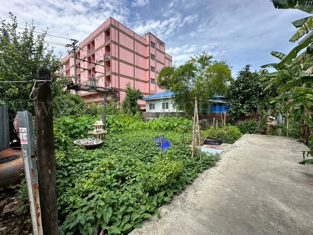 ที่ดินเปล่า 59 ตร.วา ซอยพิบูลสงคราม 22 - ซอยวัดกำแพง ราคาถูก