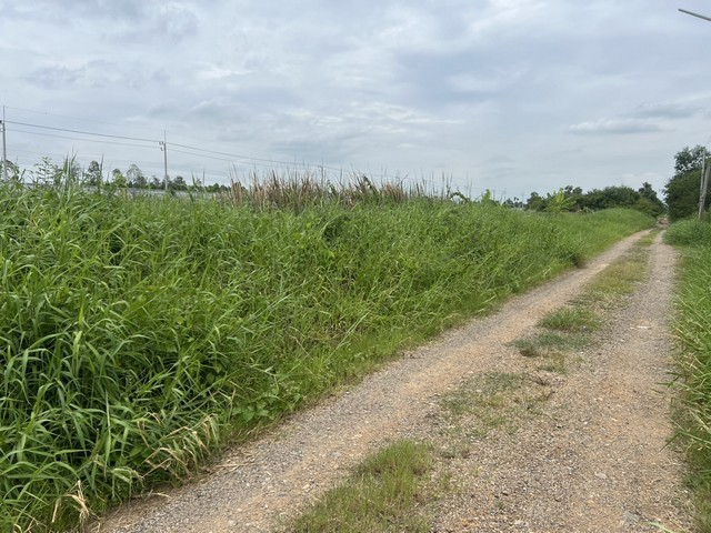 ขายที่ดิน คลองห้า   อำเภอคลองหลวง จังหวัดปทุมธานี เนื้อที่ 260 ตรว 