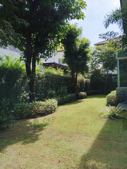 บ้านเดี่ยว เดอะ แกรนด์ ปิ่นเกล้า-เดอ ไพน์ หน้าบ้านไม่ชนใคร สงบร่มรื่นมาก ใกล้ม.มหิดล บิวท์อินทั้งหลัง