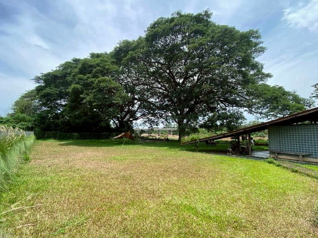 ที่ดินติดน้ำ ทำเลดี ห่างตลาดป่าข่อยใต้ สันผีเสื้อ