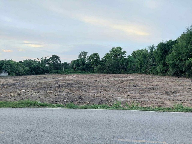 ขายที่ดิน 4ไร่7ตรว. 24.1ลบ. แบ่งขายเริ่ม 200 ตรว. ใกล้กาดฝรั่ง สนามกอล์ฟ กรีนวัลเล่ย์ ต.แม่สา อ.แม่ริม เชียงใหม่