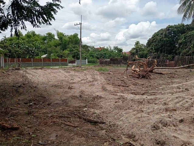 ขายที่ดินเปล่า 197ตรว. 3.35ลบ. ติดถนนลาดยาง2เลน ถมดินแล้ว ไฟฟ้า ค้าขายได้ น้ำประปา ใกล้ร.ร.นานาชาติลานนา ต.สันผักหวาน  อ.หางดง เชียงใหม่