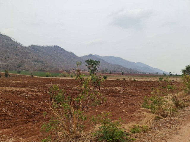 เช่าหรือซื้อยังไงก็คุ้ม ที่ดินติดภูเขา ต.พระนอน อ.เมือง จ.นครสวรรค์ วิวสวยมากๆๆ 5ไร่เศษ โทร 096-882-1857