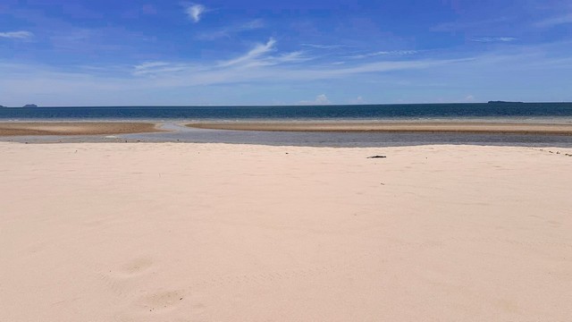 เช่าหรือซื้อยังไงก็คุ้ม ขายที่ดินริมหาดสะพลีทรายขาวน้ำใสคราม สวยงามวิวทะเลธรรมชาติสุดสุด ปะทิวใกล้หาดสวยทุ่งวัวแล่น  