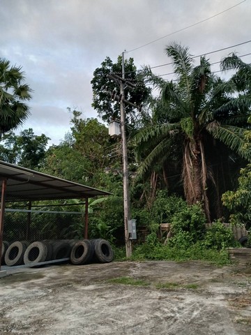 ขายที่ดินพร้อมสิ่งปลูกสร้างโครงสร้างโกดัง(ไม่รวมเครื่องจักร) ✳️เนื้อที่ 5-1-46 ไร่ (2 โฉนด) ????อยู่ห่างจากนิคมอมตะนคร 6 กิโลเมตร