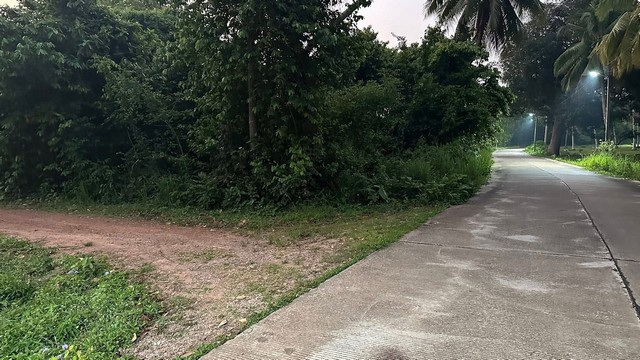 หาที่สวยวิวดีเงื่อนไขสบาย ที่ติดทะเล 2.5 ลบ./ไร่ ฝั่งแดง ผาแดง หายาก ประจวบ บางสะพานน้อย สวยมากแปลงนี้ ขายถูกสุดในย่านนี้ ไร่ละ 2.5 ล้านบาท