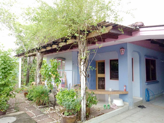  กิ่งแก้ว35-55 ใกล้สุวรรณภูมิ 2นอน เฟอร์ครบ! 2จอดรถ ให้เช่าบ้านเดี่ยว  1น้ำ รับสัตว์ 60 ตรว. 240 ตรม.