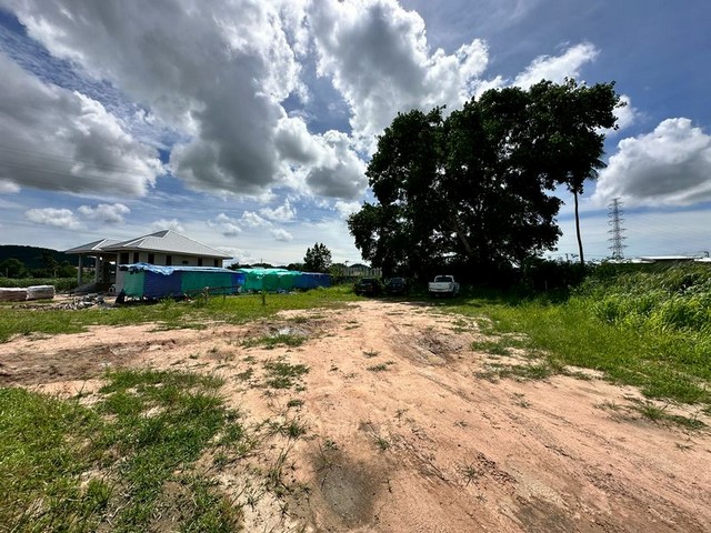 ขายที่ดินเปล่า ศรีราชา ที่ดินสวย โซนบ้านจัดสรร 200 ตร.วา TP-L1441