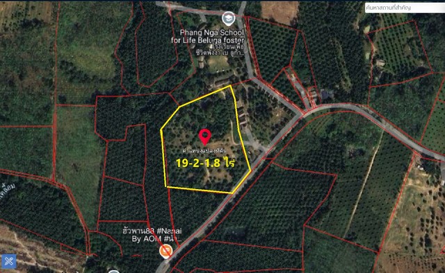 ขายที่ดิน 19-2-1.8 ไร่ ทำเลเขา วิวสวย ตำบลทุ่งมะพร้าว อำเภอท้ายเหมือง จังหวัดพังงา