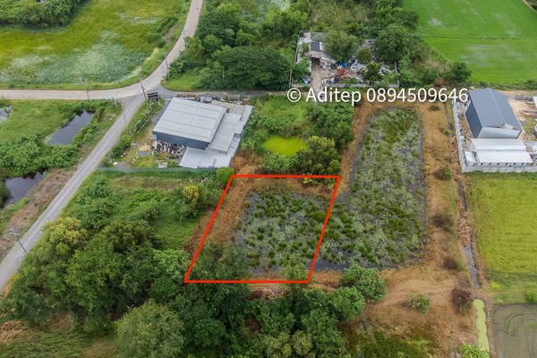  ขายด่วน! ที่ดินเปล่า 317 ตร.ว. คลองโยง-พุทธมณฑล ราคาดีใกล้เคียงราคาประเมิน ใกล้มหิดล ศาลายา เดินทางเข้ากรุงเทพาะดวก!