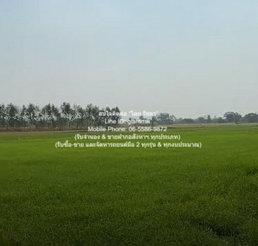 พื้นที่ดิน ขายที่ดินทุ่งนาข้าว ต.ระวิง อ.เมืองเพชรบูรณ์ จ.เพชรบูรณ์ 51-2-87 ไร่ คุ้มค่าคุ้มราคา 1. อยู่ใกล้ถนนทางหลวงหมายเลข 2302 และติดลำรางสาธารณะประโยชน์ 2. เหมาะสำหรับทำ Solar Farm หรือบ้านสวนเกษตรในสไตล์โคกหนองนา หรือเกษตรกรรมเชิงท่องเที่ยว 3. ผ