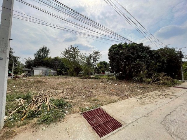 ขายที่ดิน แปลงสวย น้ำไม่ท่วม เข้าออกได้หลายทาง โซนท่าศาลา