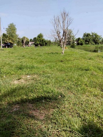 ที่ดินติดถนน น้ำ ไฟฟ้าครบ สันทรายหลวง สันทราย      