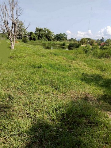 ที่ดินติดถนน น้ำ ไฟฟ้าครบ สันทรายหลวง สันทราย