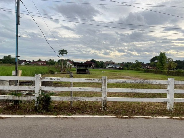 ขายที่ดินยกแปลง ที่ดินสวย ทำเลทองง ใกล้พืชสวนโลก แม่เหียะ