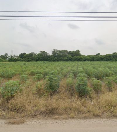 ขายที่ดินผังสีม่วง ขนาด 10 ไร่ ติดถนน 2 ด้าน ทำเลเด่น ติดถนนใหญ่ ใจกลางนิคมอุตสาหกรรมเกตเวย์ อ.แปลงยาว จ.ฉะเชิงเทรา