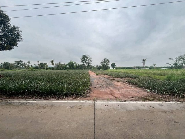 ขายที่ดินเขาคันทรงชลบุรี  6 ไร่ ผังม่วงลาย ใกล้ถนนหลักไป แหลมฉบัง และแหล่งโรงงานอุตสาหกรรม