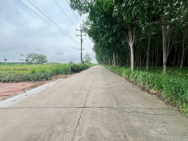 ขายที่ดินเขาคันทรงชลบุรี  6 ไร่ ผังม่วงลาย ใกล้ถนนหลักไป แหลมฉบัง และแหล่งโรงงานอุตสาหกรรม