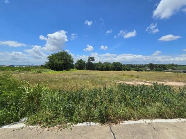 ที่ดินเปล่าแปลงสวย ทำเลดี โซนมาบยางพร ปลวกแดง ระยอง FP-L0881