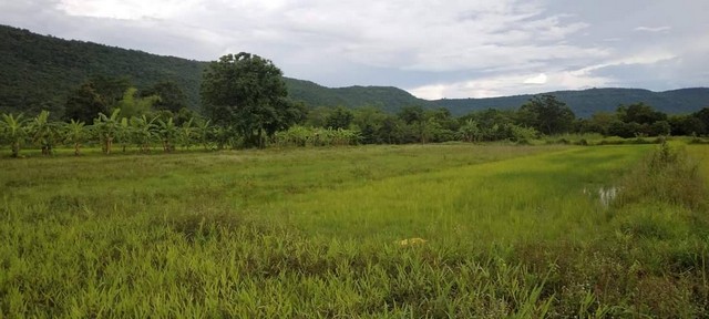 หาที่สวยวิวดีเงื่อนไขสบาย  ขายที่ดินสวยติดภูเขา เทือกเขายาวเรียงแนว ดินดีสมบูรณ์ทรัพย์ในดิน ฟ้าใสวิวหลักล้าน ต.นาจาน อ.สีชมพู จ.ขอนแก่น